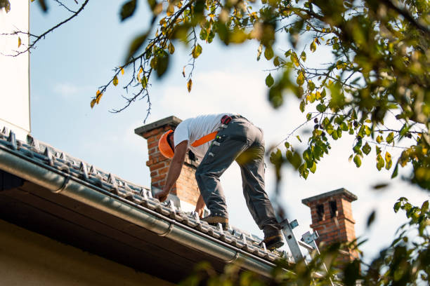 Best Roof Gutter Cleaning  in North Crossett, AR